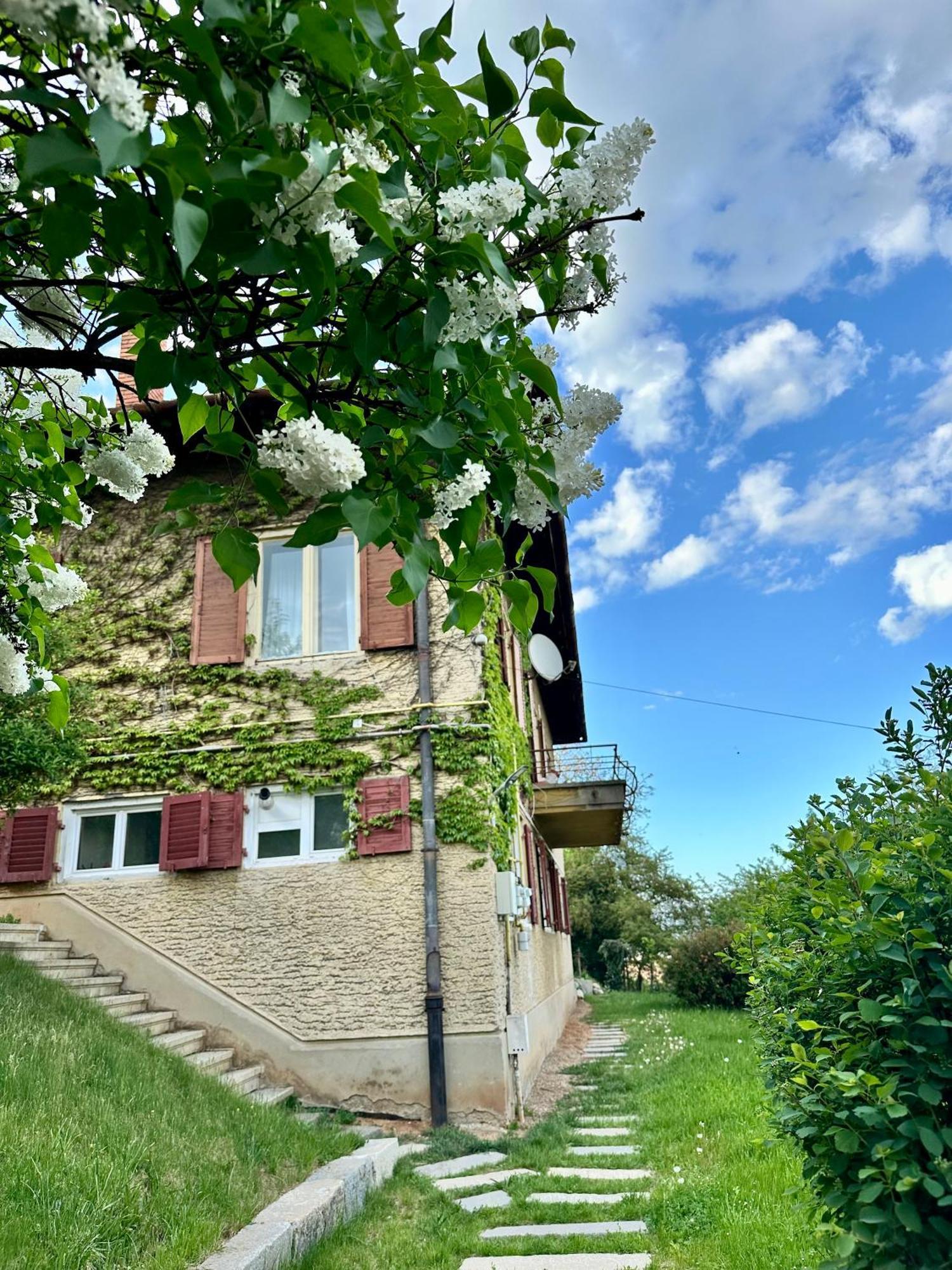 Cloos - Elegant Residence With Panoramic View Braşov Exterior foto
